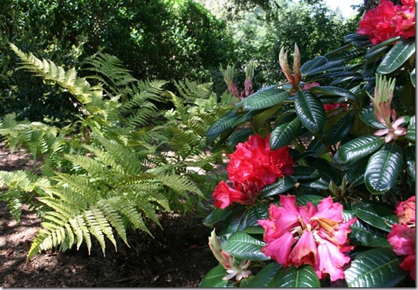 Post image for Soil, Water, and Mulch: The Three Key Steps to a Healthy Organic Garden