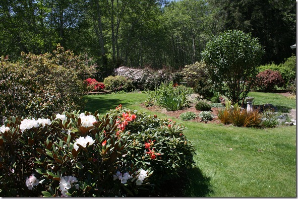 Post image for Singing Tree Gardens Big Fall Sale Oct 14-18