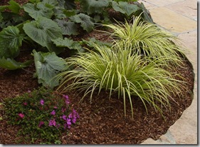 Mini fir bark chips used in the garden