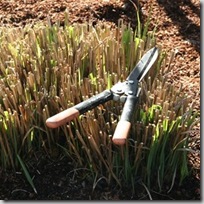 Fiskars Powergear