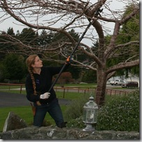 pole pruning