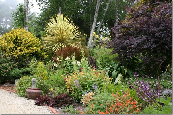 exuberant use of dark plants