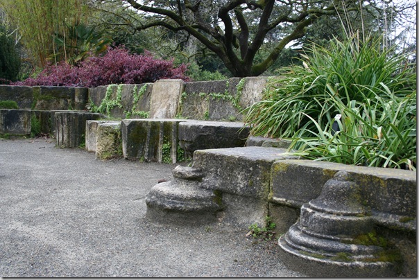repetition of matreials and plants repetition of matreials and plants