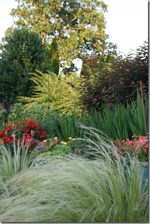 Garden2Blog (46) Garden2Blog (46)