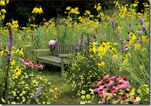 Wildlife Garden Design Tip: Choose a Simple Color Palette North ...