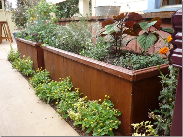 The Bottomless Planter Box from Outerior Decor | North Coast Gardening